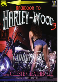 Backdoor To Harley-Wood 3