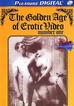 Golden Age Of Erotic Video, The