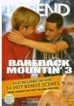 Bareback Mountin' 2