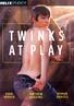Twinks At Play