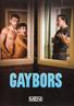 Gaybors