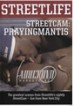 Streetcam: Prayingmantis