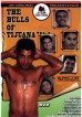Bulls Of Tijuana 2, The